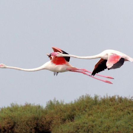 El Remanso III Lägenhet La Manga del Mar Menor Exteriör bild